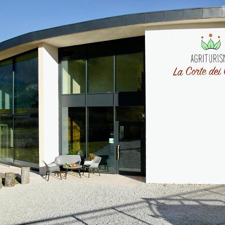 Agritur La Corte Dei Ciliegi 트렌토 외부 사진