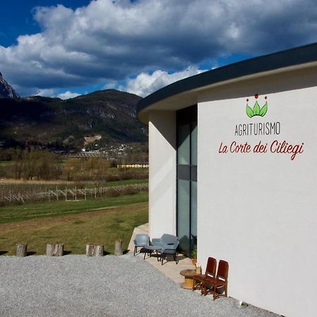 Agritur La Corte Dei Ciliegi 트렌토 외부 사진